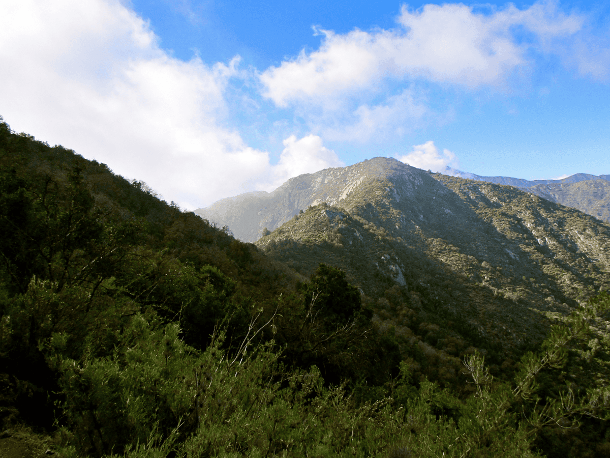 La Campana - Sector Cajón Grande