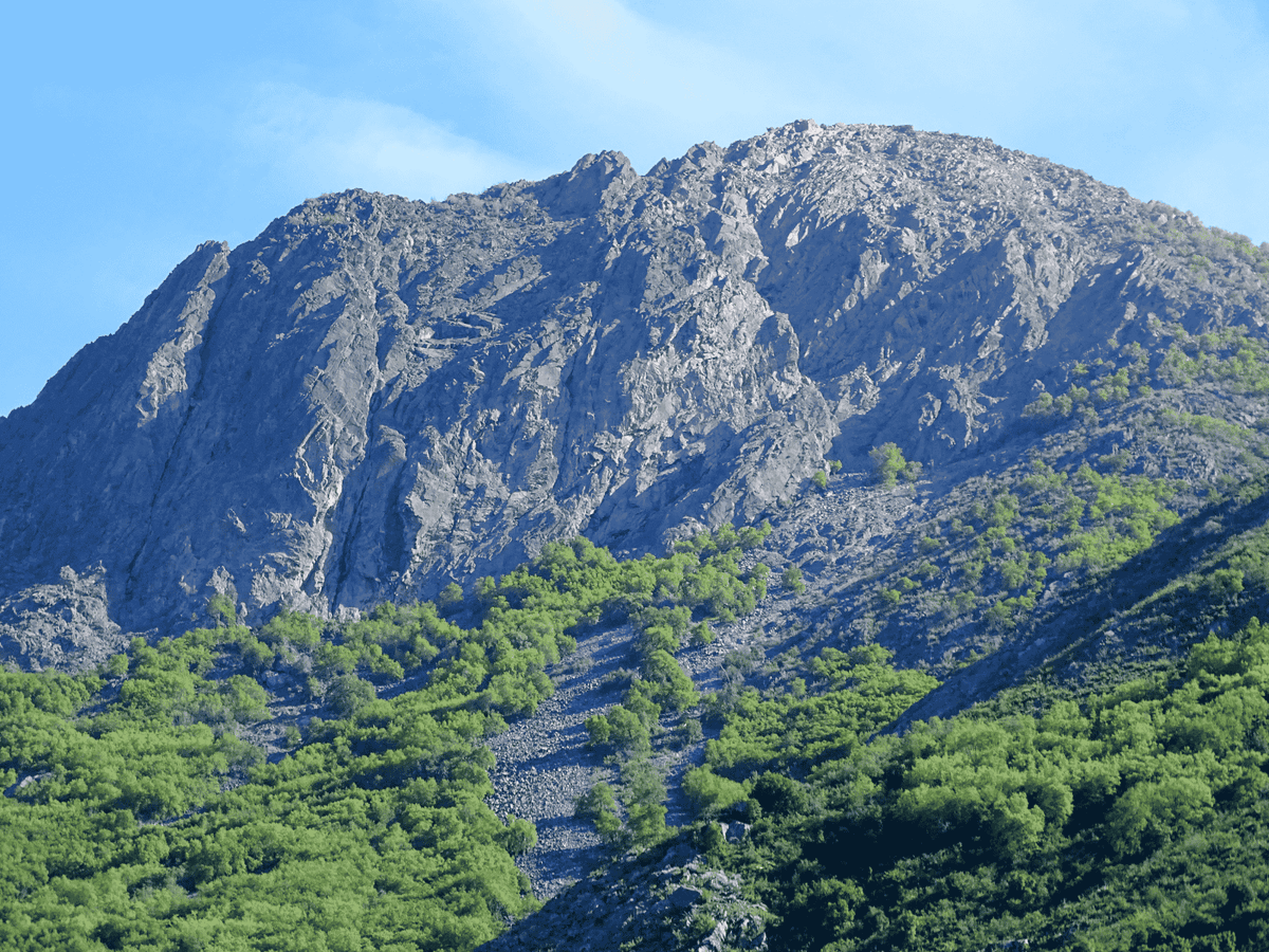 La Campana - Sendero Cumbre