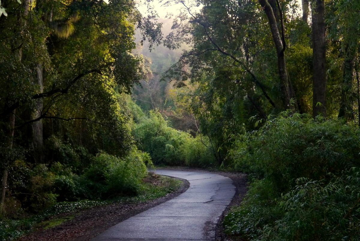 Cerro Ñielol