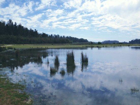 Lago Peñuelas - 2